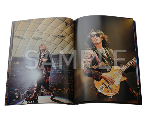20th Anniversary Final GLAY in TOKYO DOME 2015 Miracle Music Hunt 
